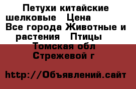 Петухи китайские шелковые › Цена ­ 1 000 - Все города Животные и растения » Птицы   . Томская обл.,Стрежевой г.